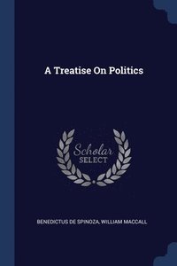 bokomslag A Treatise On Politics