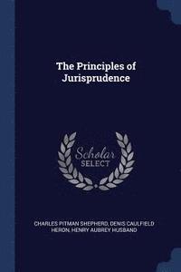 bokomslag The Principles of Jurisprudence