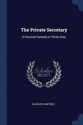 bokomslag The Private Secretary