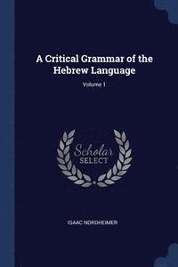 bokomslag A Critical Grammar of the Hebrew Language; Volume 1
