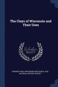 bokomslag The Clays of Wisconsin and Their Uses