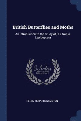 British Butterflies and Moths 1