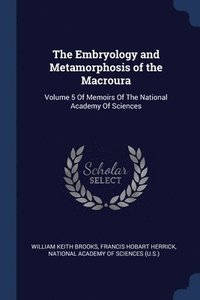 bokomslag The Embryology and Metamorphosis of the Macroura