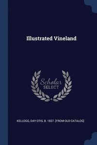 bokomslag Illustrated Vineland