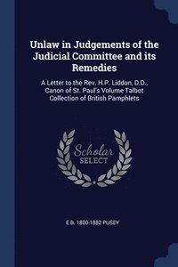 bokomslag Unlaw in Judgements of the Judicial Committee and its Remedies