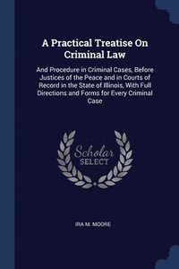 bokomslag A Practical Treatise On Criminal Law