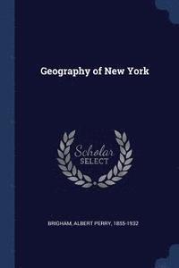 bokomslag Geography of New York