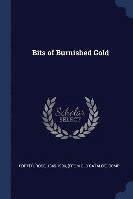 Rose Porter - Bits of Burnished Gold, Häftad