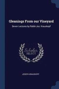 bokomslag Gleanings From our Vineyard