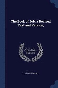 bokomslag The Book of Job, a Revised Text and Version;