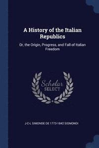 bokomslag A History of the Italian Republics