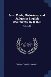 bokomslag Irish Poets, Historians, and Judges in English Documents, 1538-1615; Volume 36