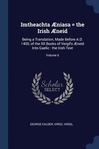 bokomslag Imtheachta niasa = the Irish neid