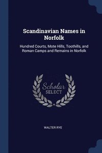 bokomslag Scandinavian Names in Norfolk