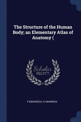 bokomslag The Structure of the Human Body; an Elementary Atlas of Anatomy (