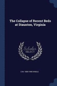 bokomslag Collapse of Recent Beds at Staunton, Virginia