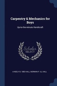 bokomslag Carpentry & Mechanics for Boys