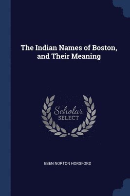 bokomslag Indian Names of Boston, and Their Meaning