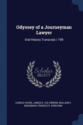 bokomslag Odyssey of a Journeyman Lawyer