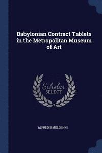 bokomslag Babylonian Contract Tablets in the Metropolitan Museum of Art