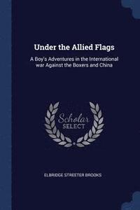bokomslag Under the Allied Flags