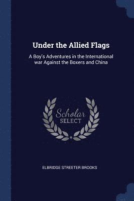 bokomslag Under the Allied Flags