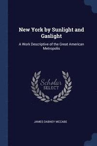 bokomslag New York by Sunlight and Gaslight