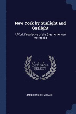 New York by Sunlight and Gaslight