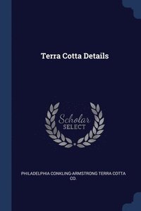 bokomslag Terra Cotta Details