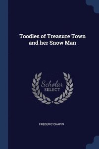 bokomslag Toodles of Treasure Town and her Snow Man