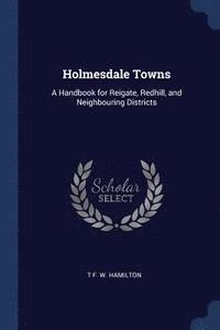 bokomslag Holmesdale Towns