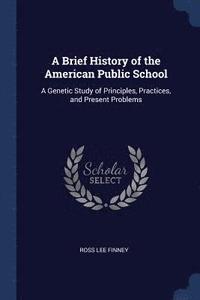 bokomslag A Brief History of the American Public School