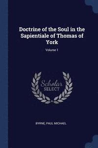 bokomslag Doctrine of the Soul in the Sapientiale of Thomas of York; Volume 1