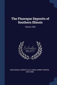 bokomslag The Fluorspar Deposits of Southern Illinois; Volume 1905