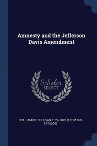bokomslag Amnesty and the Jefferson Davis Amendment