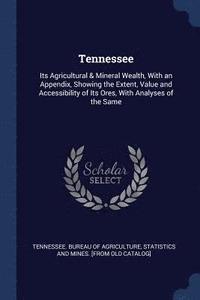 bokomslag Tennessee