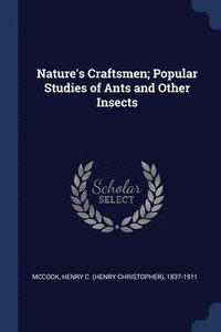 bokomslag Nature's Craftsmen; Popular Studies of Ants and Other Insects