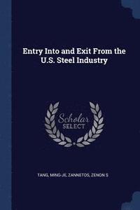 bokomslag Entry Into and Exit From the U.S. Steel Industry