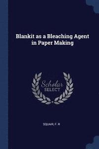 bokomslag Blankit as a Bleaching Agent in Paper Making