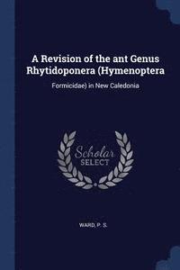 bokomslag A Revision of the ant Genus Rhytidoponera (Hymenoptera