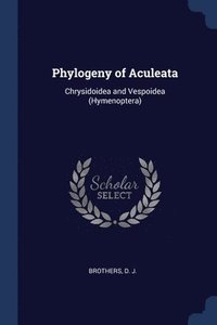 bokomslag Phylogeny of Aculeata