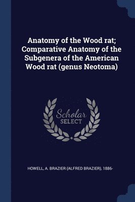 bokomslag Anatomy of the Wood rat; Comparative Anatomy of the Subgenera of the American Wood rat (genus Neotoma)