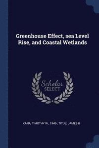 bokomslag Greenhouse Effect, sea Level Rise, and Coastal Wetlands