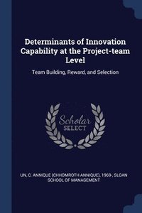 bokomslag Determinants of Innovation Capability at the Project-team Level