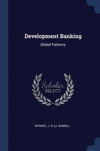 bokomslag Development Banking