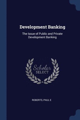 bokomslag Development Banking