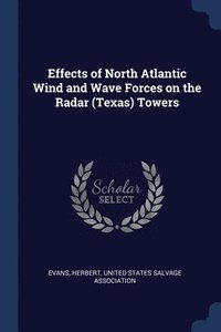 bokomslag Effects of North Atlantic Wind and Wave Forces on the Radar (Texas) Towers