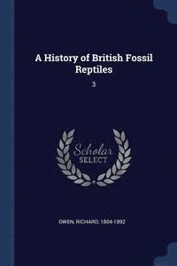 bokomslag A History of British Fossil Reptiles