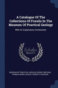 bokomslag A Catalogue Of The Collections Of Fossils In The Museum Of Practical Geology