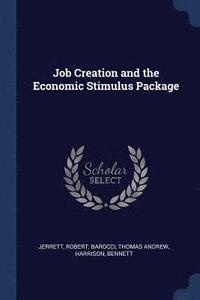 bokomslag Job Creation and the Economic Stimulus Package